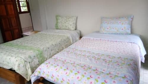 Family Room (4 Adults)