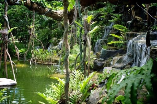 Superior Double Room with Waterfall