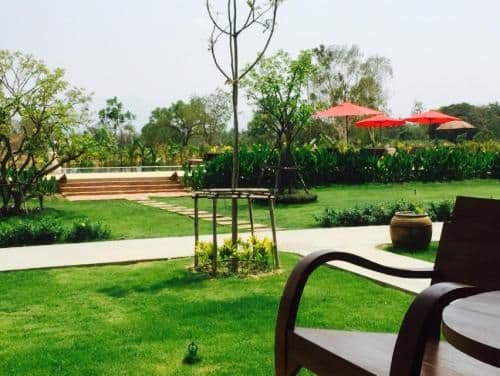 Bungalow with Pool View (2 Adults + 1 Child)