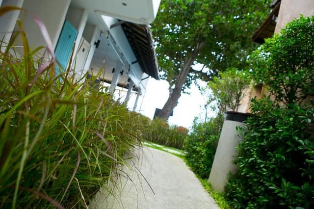BUNGALOW GARDEN VIEW