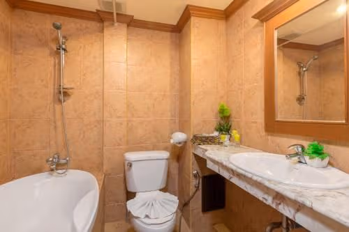 Superior Double or Twin Room