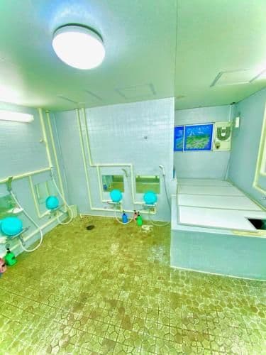 Twin Room with Shared Bathroom