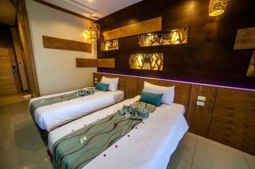 Deluxe Double or Twin Room - No View