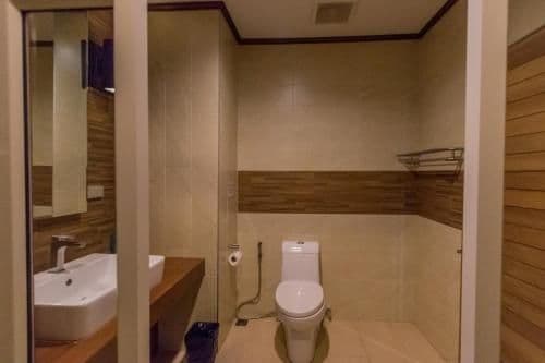 Deluxe Double or Twin Room - No View