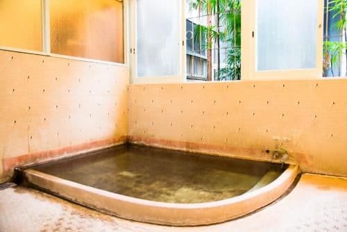 Japanese-Style Superior Room with Shared Bathroom and Garden View - Non-Smoking (Adult Only)