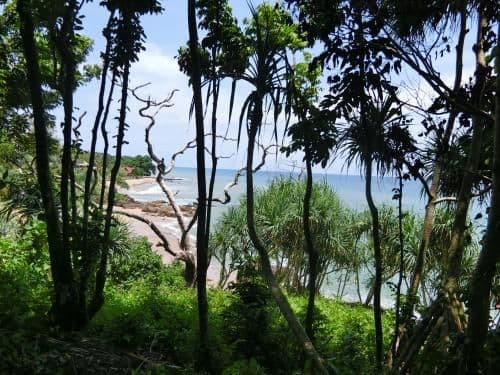 One-Bedroom Bungalow with Sea View