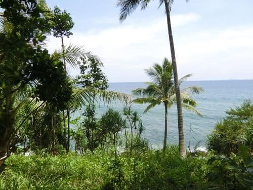 One-Bedroom Bungalow with Sea View
