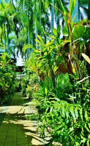 Tropical Villa