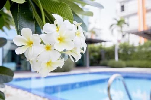 Deluxe Three-Bedroom Villa with Pool View
