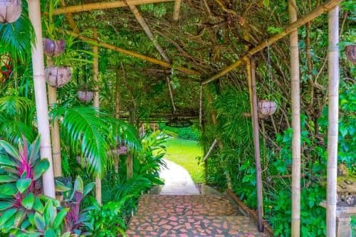 Bungalow - Upper Level