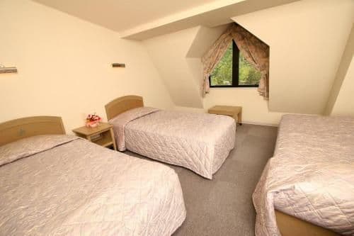Twin Room - Non-Smoking