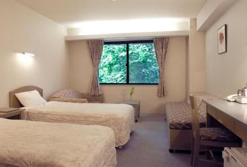 Twin Room - Non-Smoking