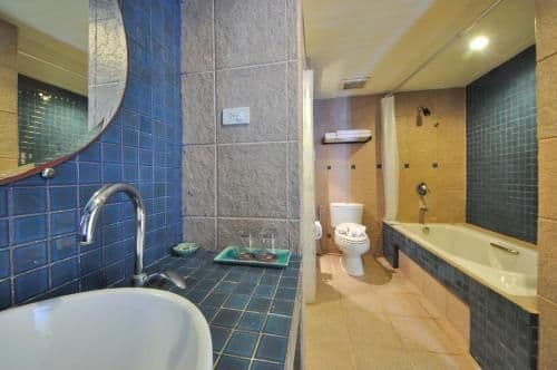 Superior Double or Twin Room with Pool View