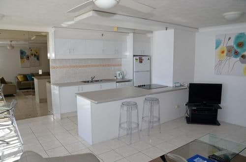 Deluxe One-Bedroom Apartment