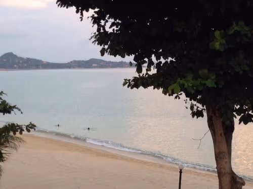 Bungalow - Beach Front