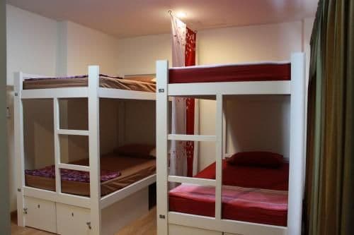 Bunk Bed in Mixed Dormitory Room
