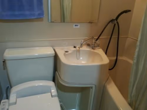 Japanese-Style Twin Room with Private Bathroom