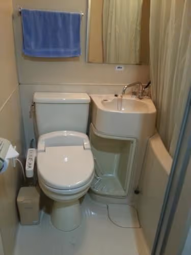 Japanese-Style Twin Room with Private Bathroom