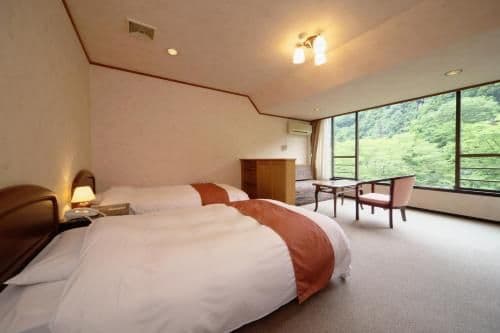 Twin Room with River View