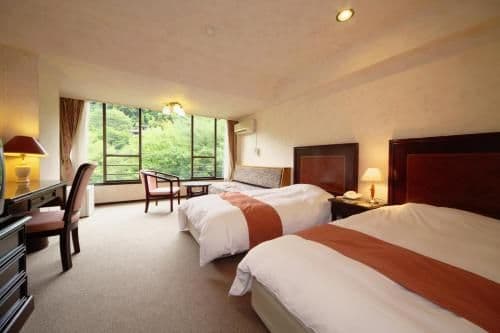 Twin Room with River View