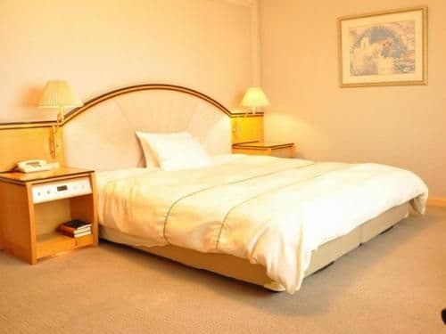 Standard Double Room - Non-Smoking