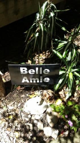 Belle Amie Studio