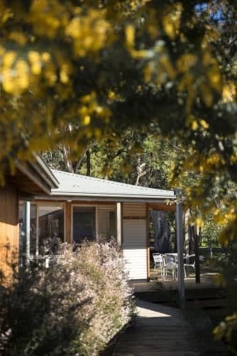 Standard Plus Chalet