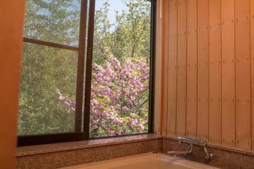 Japanese-Style Room
