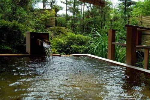 Japanese-Style Suite with Garden View - Annex