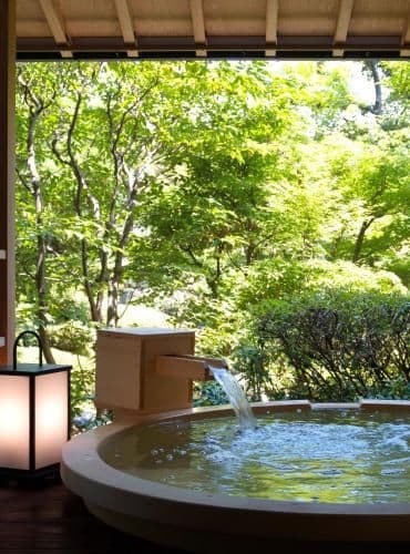Japanese-Style Suite with Garden View - Annex