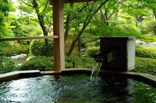 Japanese-Style Suite with Garden View - Annex