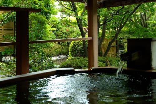 Japanese-Style Suite with Garden View - Annex