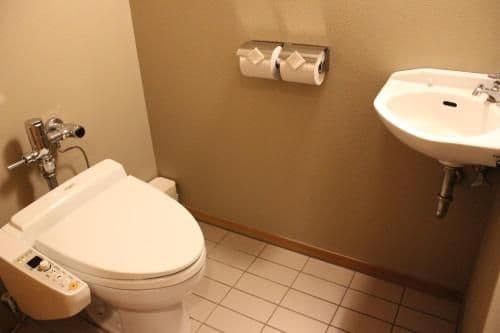 Japanese-Style Deluxe Room