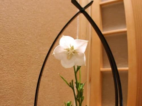 Japanese-Style Room