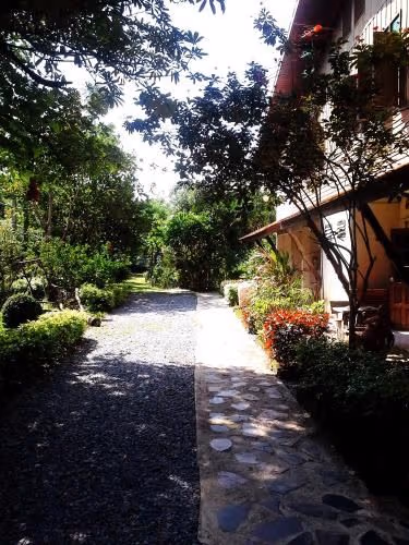 Garden View Aircon