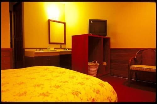 Twin Room - Non-Smoking