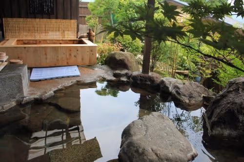 Japanese-Style Deluxe Room with 2 Open Air Bath - Annex
