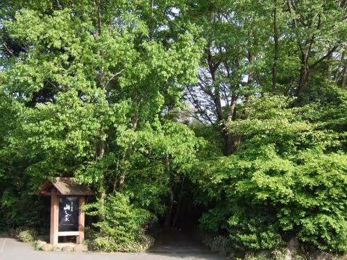 Japanese-Style Twin Room with Open-Air Bath