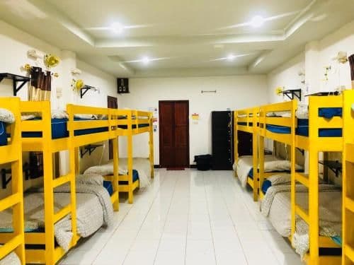 Bunk Bed in Mixed Dormitory Room