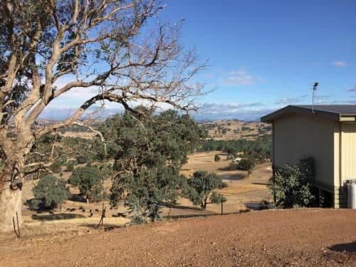 One-Bedroom Cottage - Grevillea