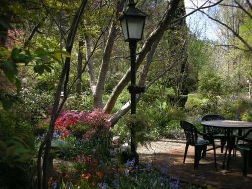 One-Bedroom Apartment - Lychgate