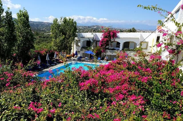 STUDIO POOL VIEW