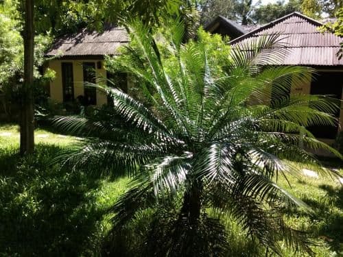 Double Bungalow