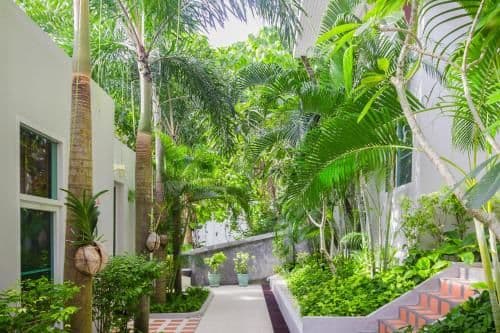 Superior Twin Room with Garden View