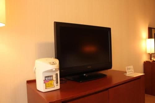 Standard Twin Room with Mt.Fuji View