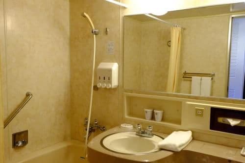 Standard Twin Room with Mt.Fuji View