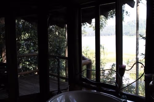 Luxury Treehouse
