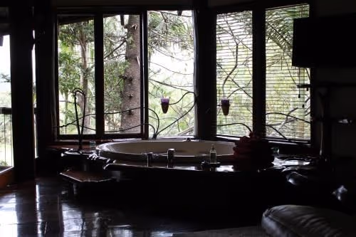 Luxury Treehouse