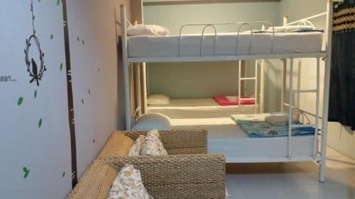 Bunk Bed in Dormitory Room