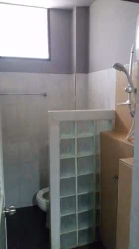 Bunk Bed in Dormitory Room